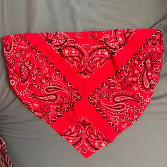 Swim Bandana Print Bikini Top Poshmark
